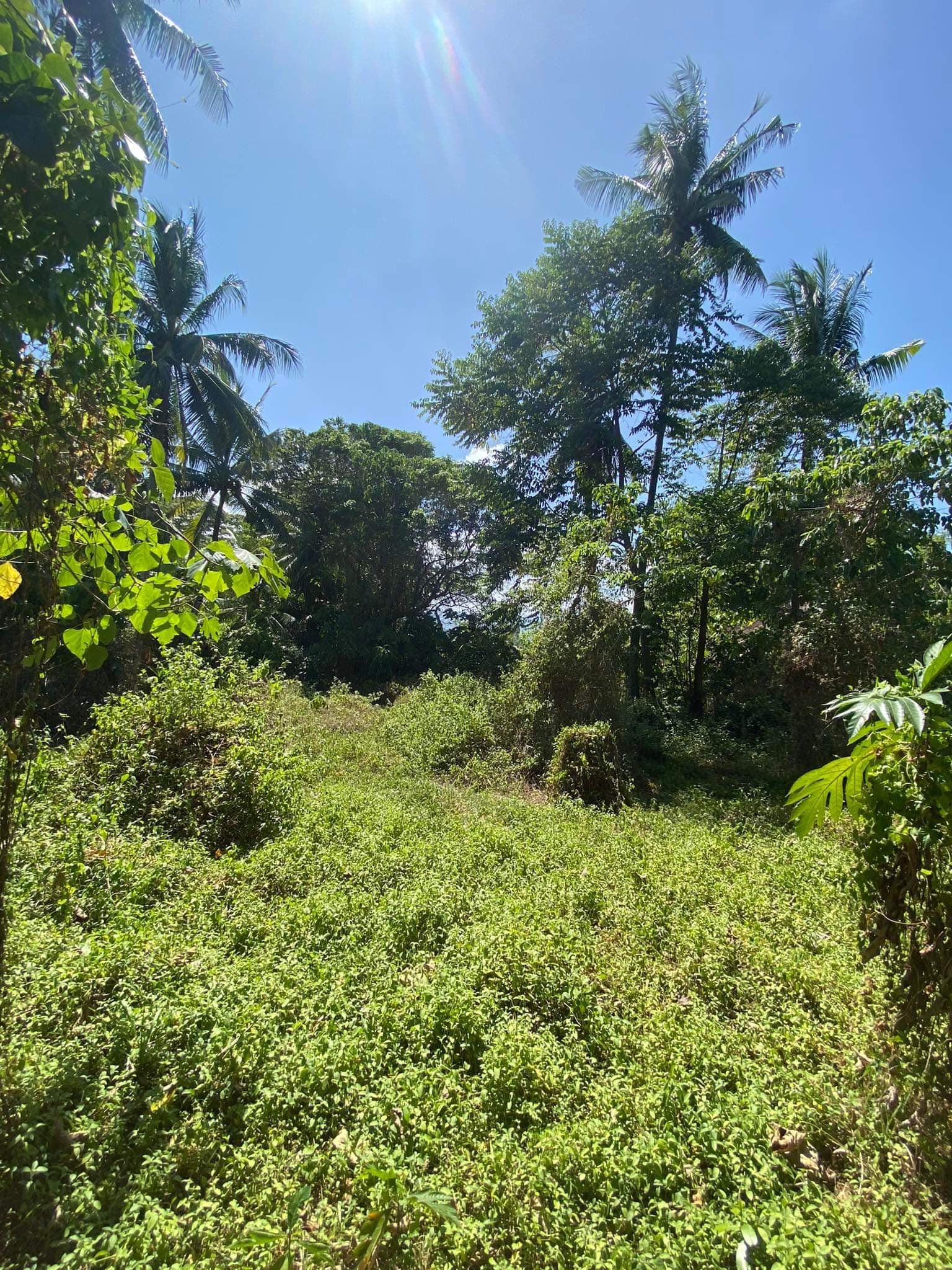 Lot For Sale With Road Right of Way Along Sibulan Diversion Road - photo 1