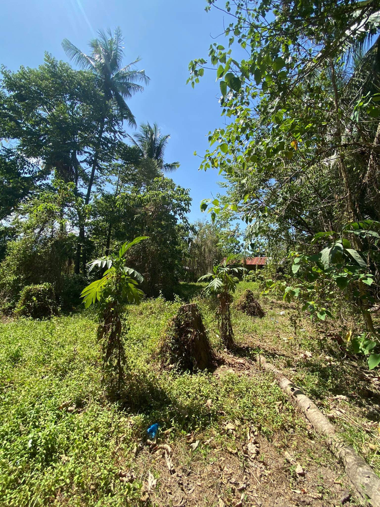Lot For Sale With Road Right of Way Along Sibulan Diversion Road - photo 2