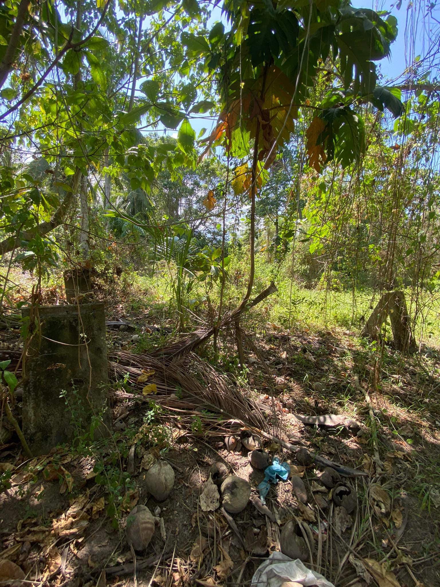 Lot For Sale With Road Right of Way Along Sibulan Diversion Road - photo 3