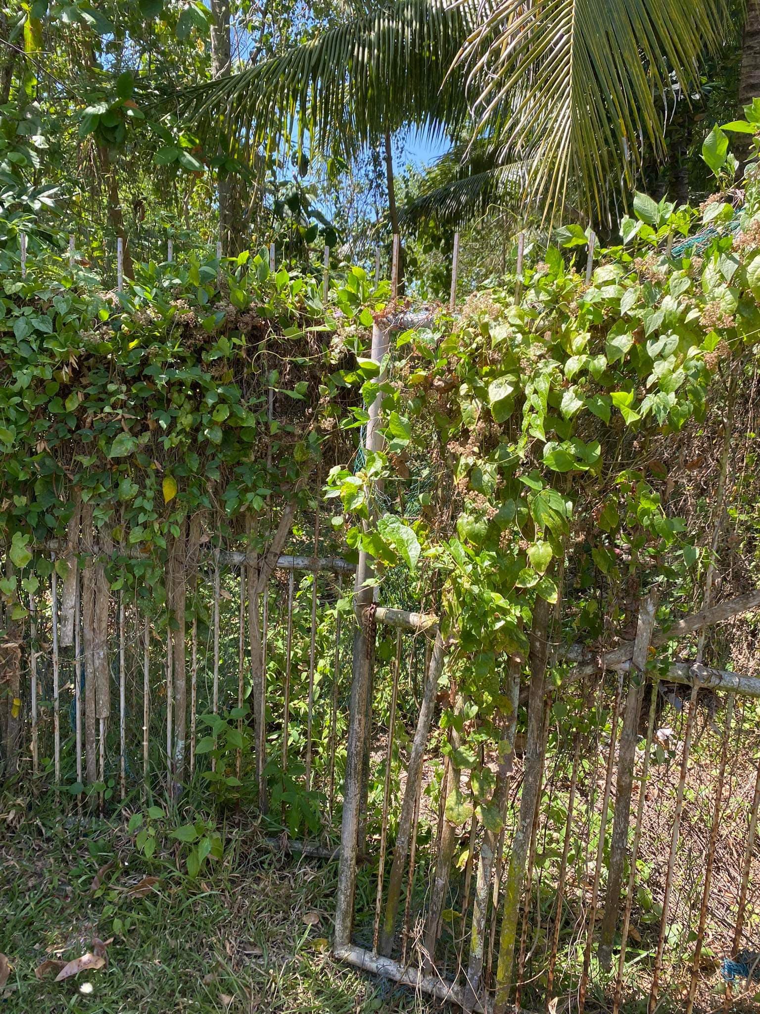 Lot For Sale With Road Right of Way Along Sibulan Diversion Road - photo 4