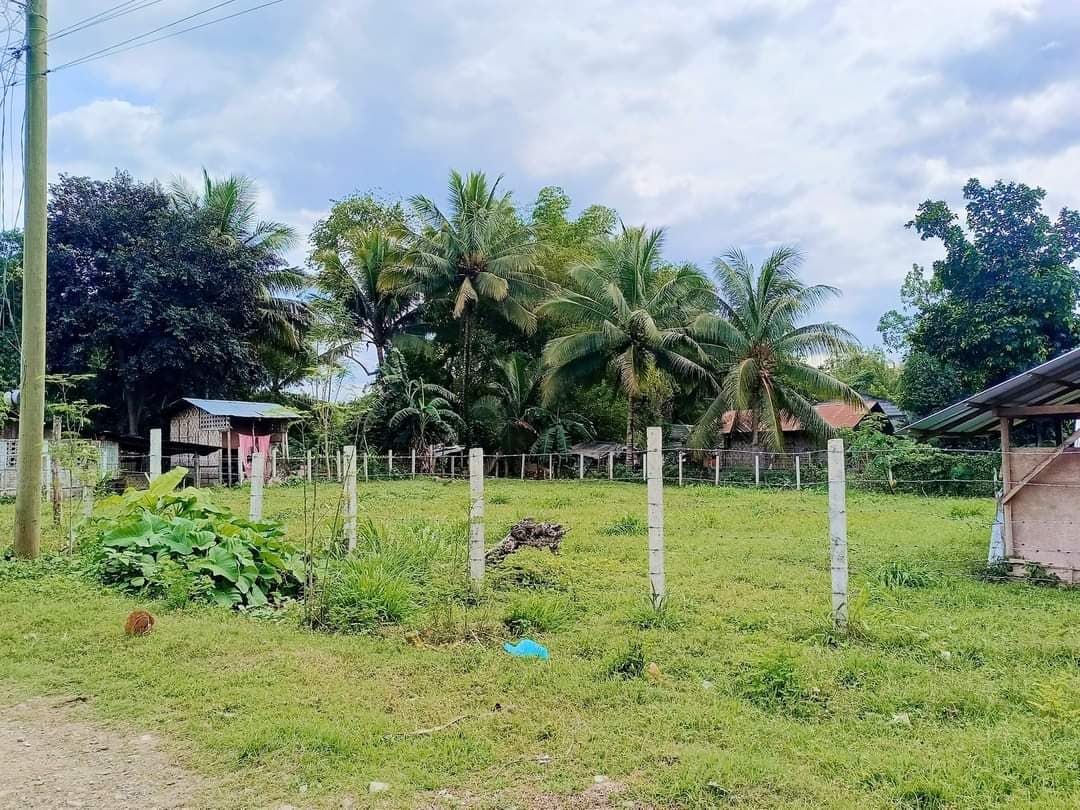 408-2022000221-2 - photo 1