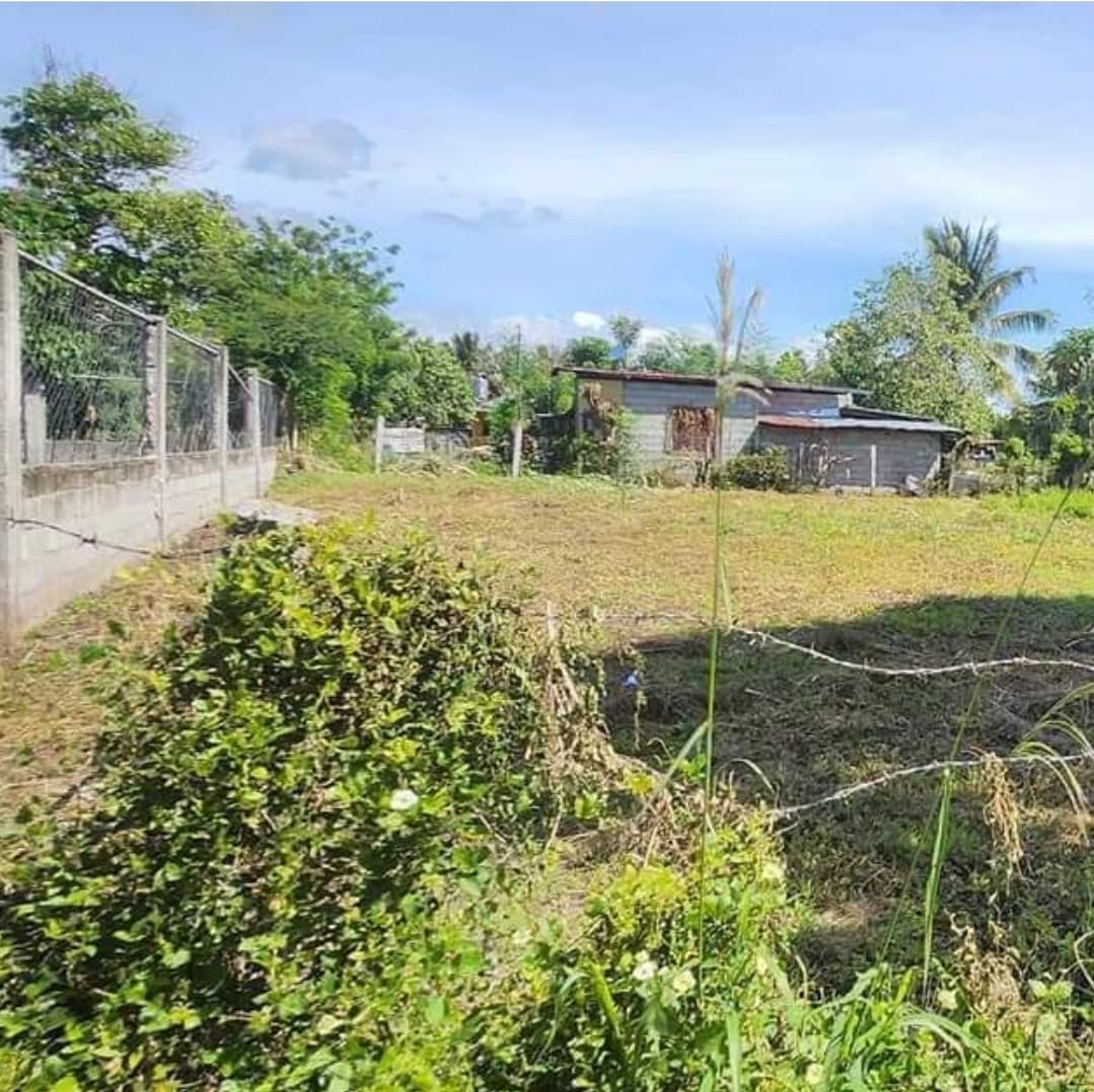 Lot for Sale in Purok Malinawon, Conel, General Santos City - photo 2