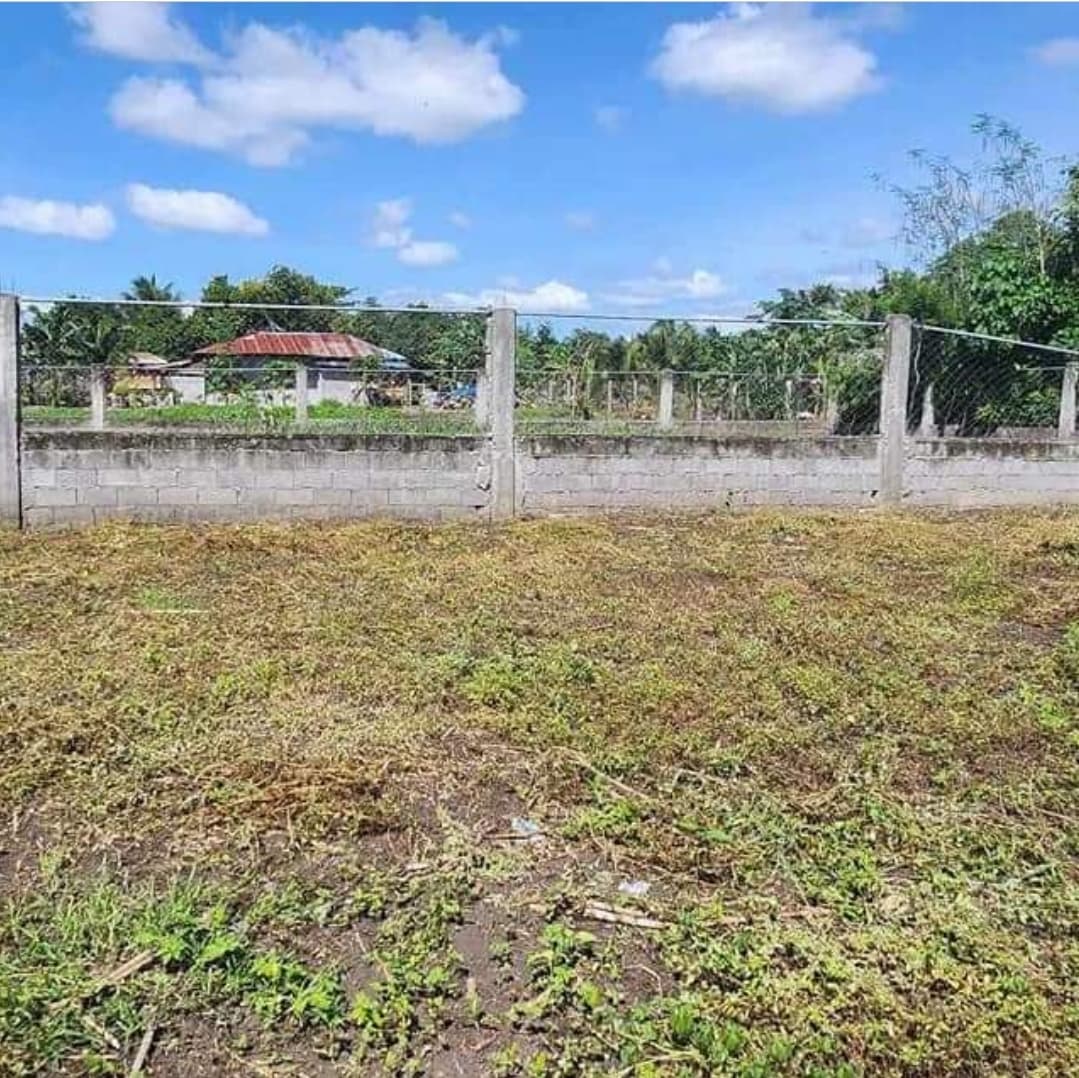 Lot for Sale in Purok Malinawon, Conel, General Santos City - photo 4
