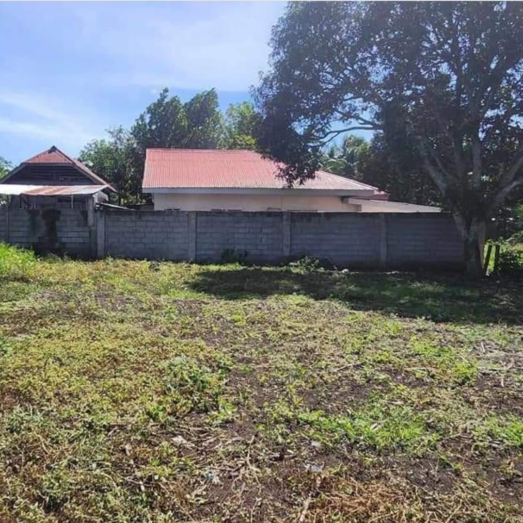 Lot for Sale in Purok Malinawon, Conel, General Santos City - photo 3