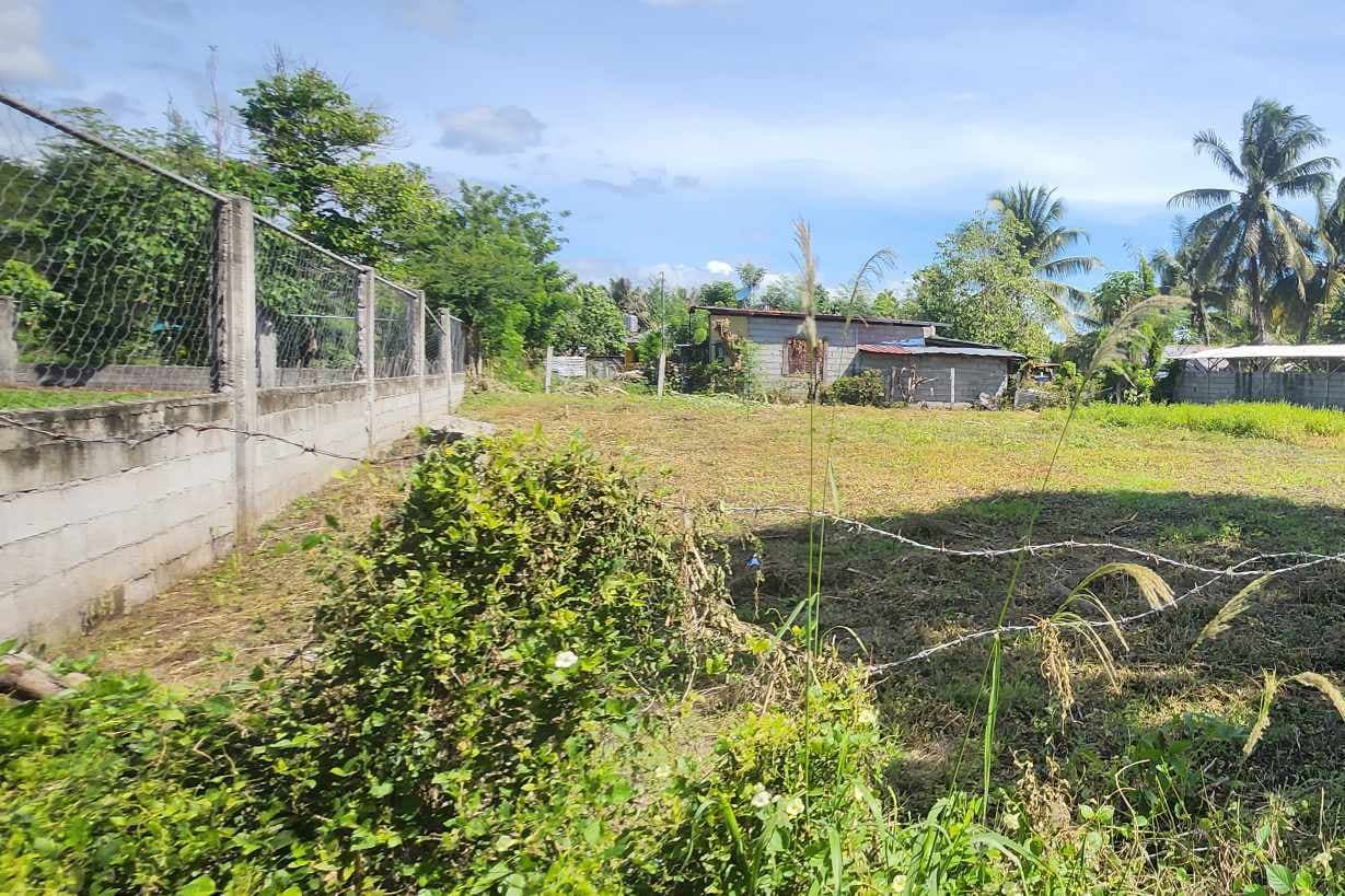 Lot for Sale in Purok Malinawon, Conel, General Santos City - photo 5