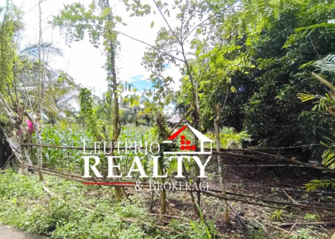 Farm Lot in Pacol/Carolina - photo 6