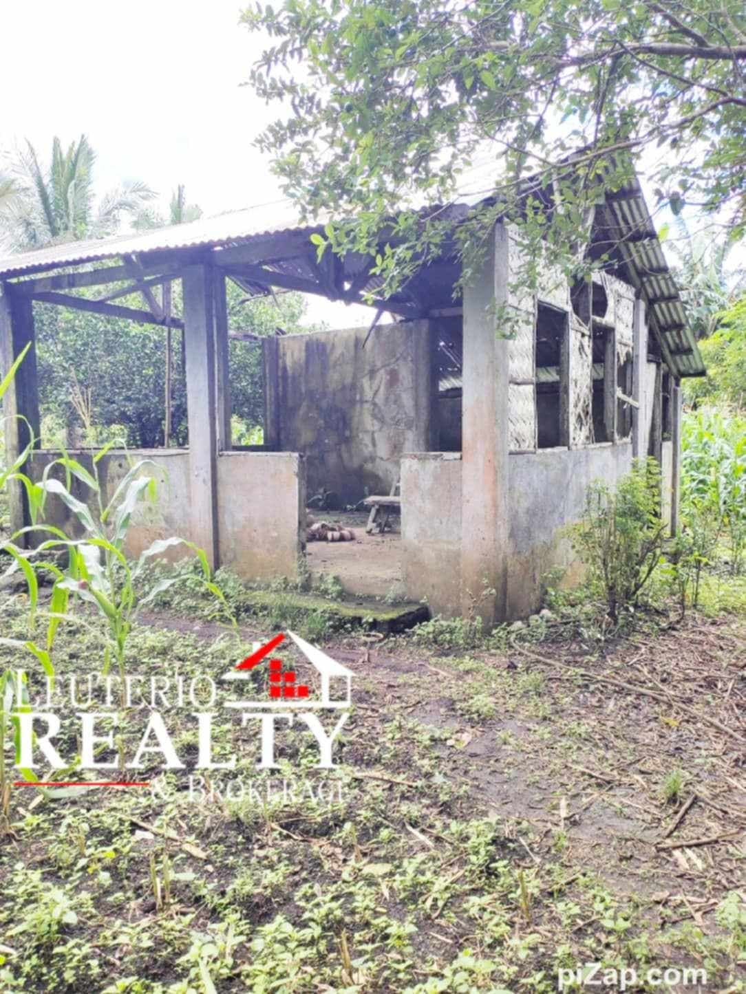 Farm Lot in Pacol/Carolina - photo 7