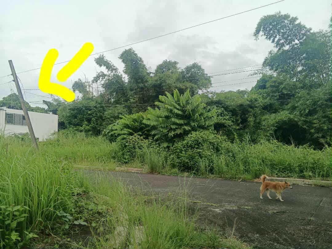 Monte Cielo Lot For Sale - photo 3