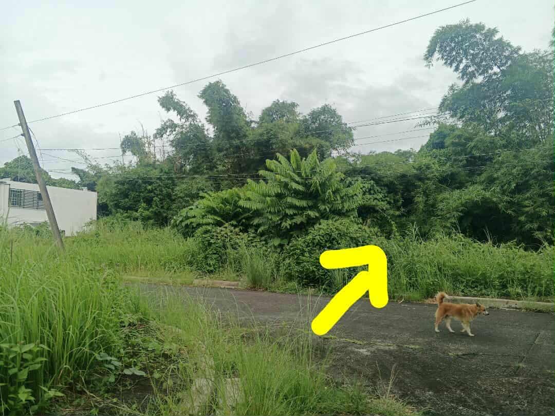 Monte Cielo Lot For Sale - photo 4