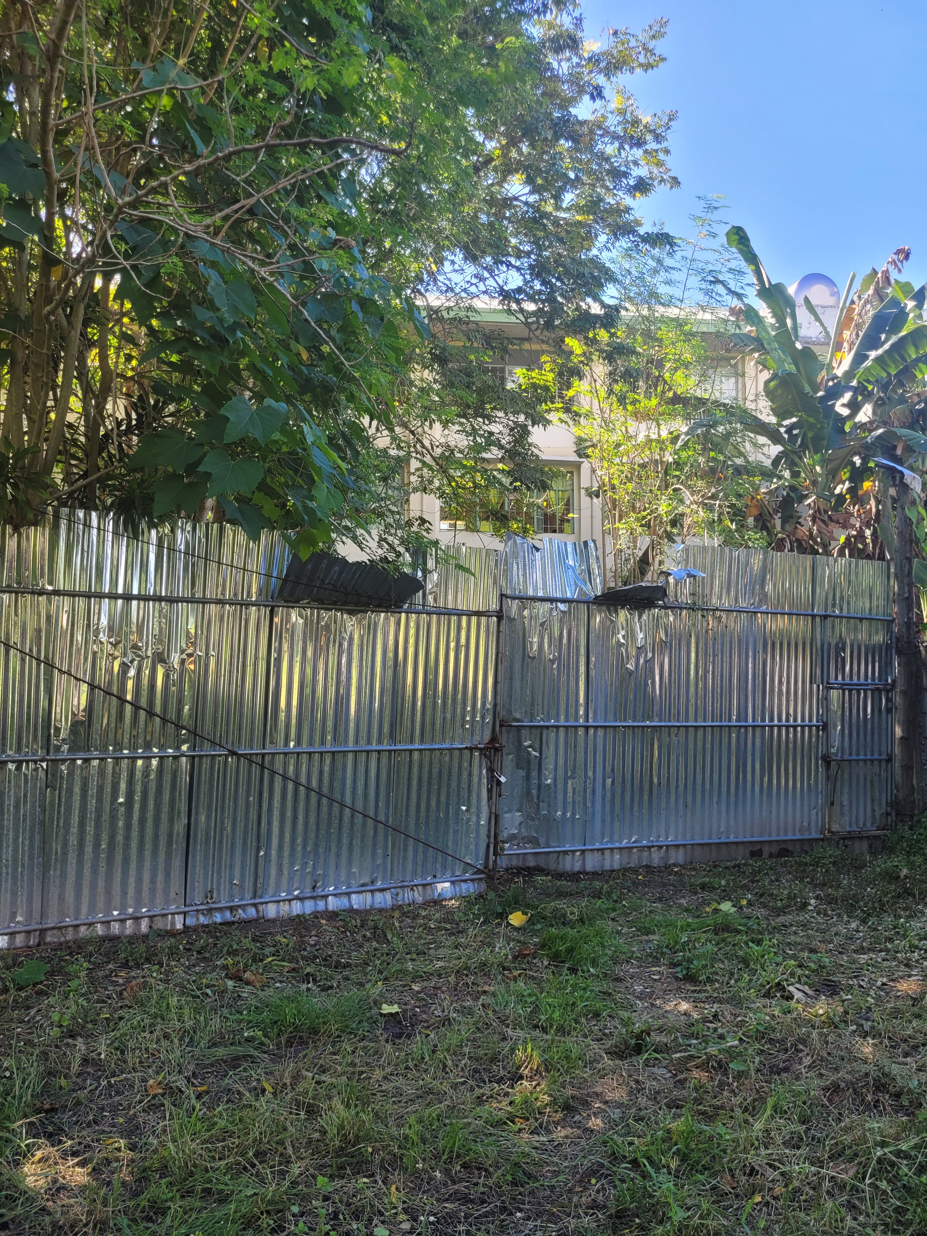 Katangawan Lot - photo 2