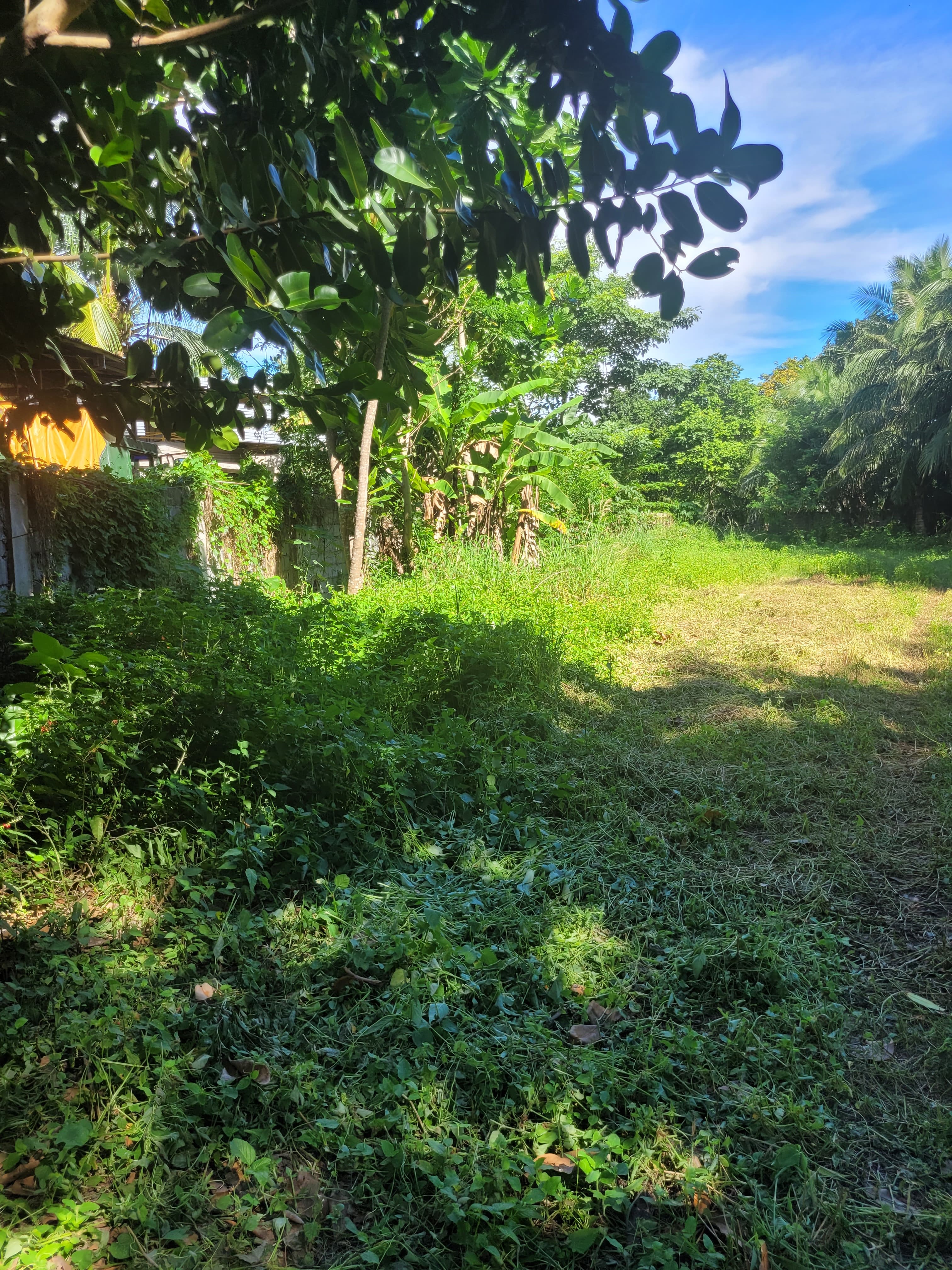 Katangawan Lot - photo 3