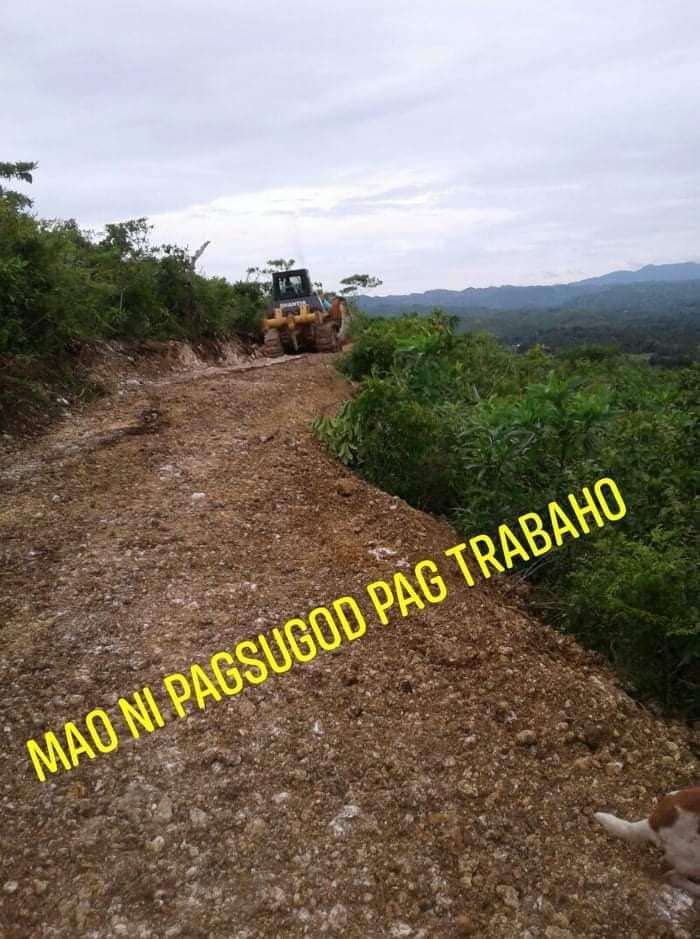 15 HECTARES FARM LOT FOR SALE IN ASTURIAS - photo 4