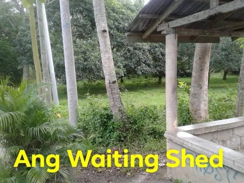 15 HECTARES FARM LOT FOR SALE IN ASTURIAS - photo 2