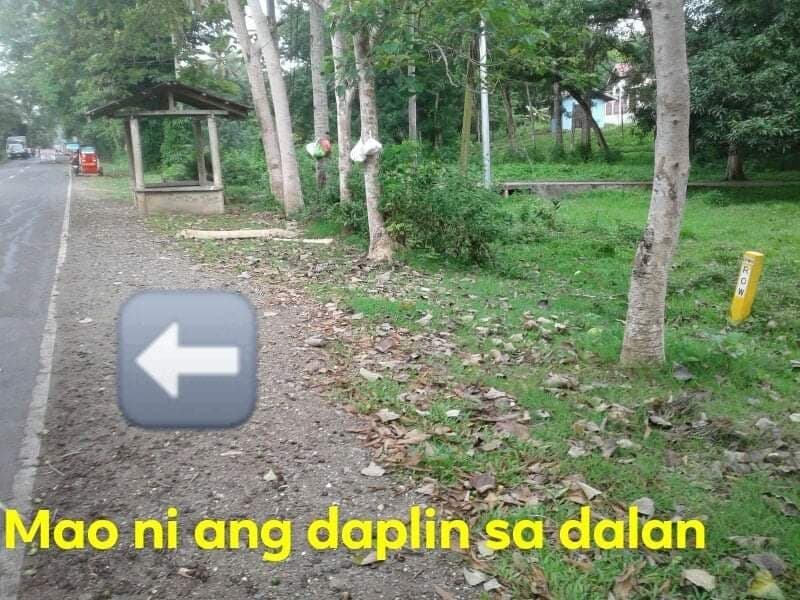 15 HECTARES FARM LOT FOR SALE IN ASTURIAS