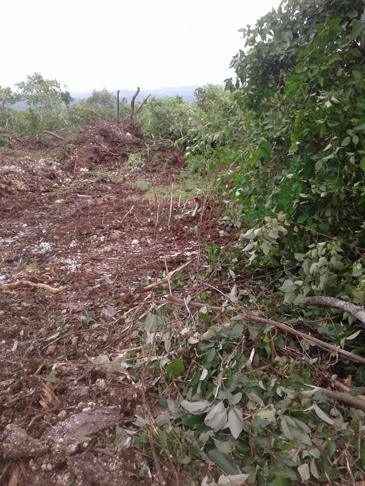 15 HECTARES FARM LOT FOR SALE IN ASTURIAS - photo 5