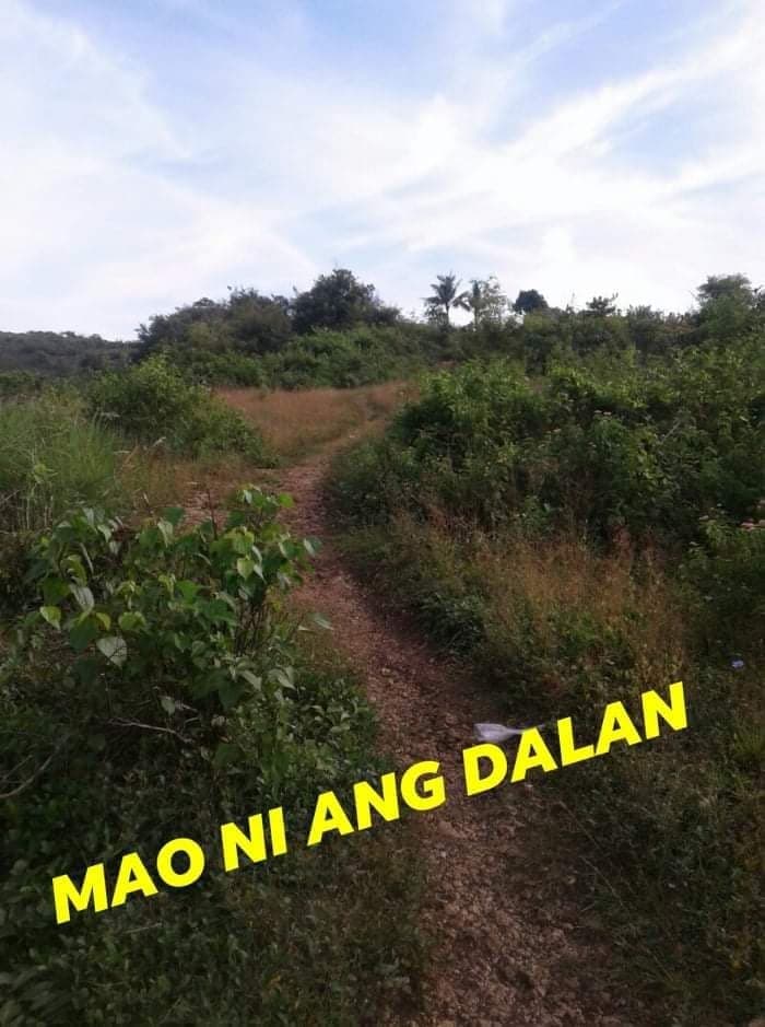 15 HECTARES FARM LOT FOR SALE IN ASTURIAS - photo 3