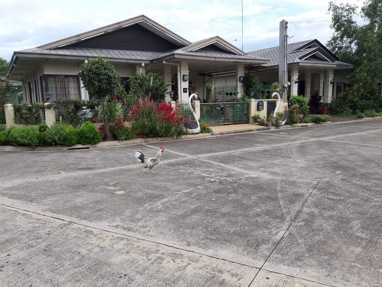 HOUSE & LOT BAMBU ESTATE MINTAL - photo 5