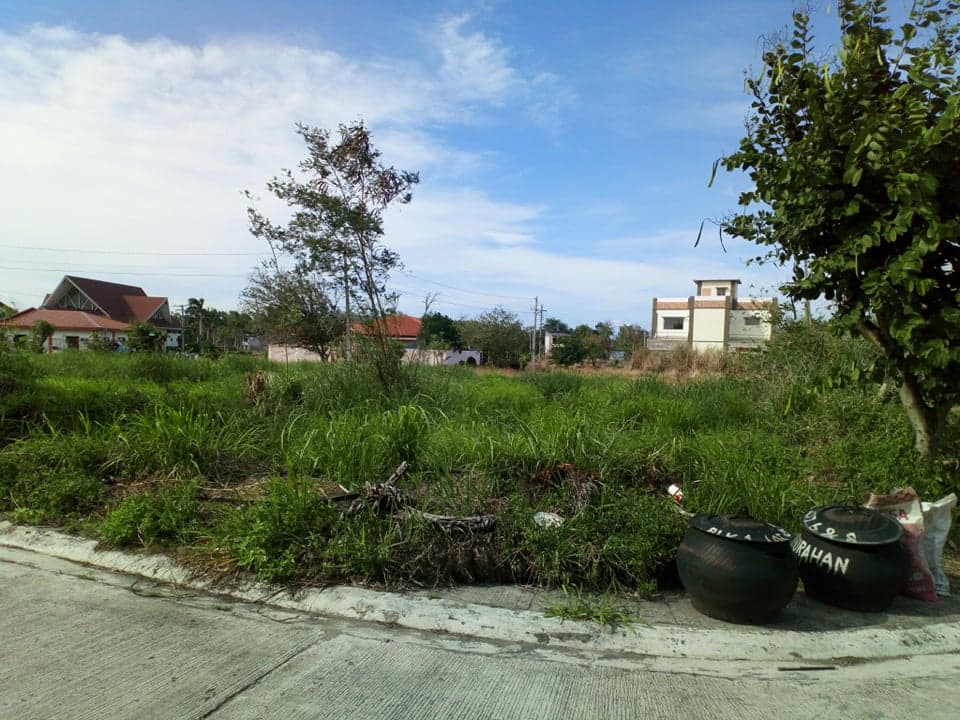 CARMELA DE BACOLOD SUBDIVISION - photo 4