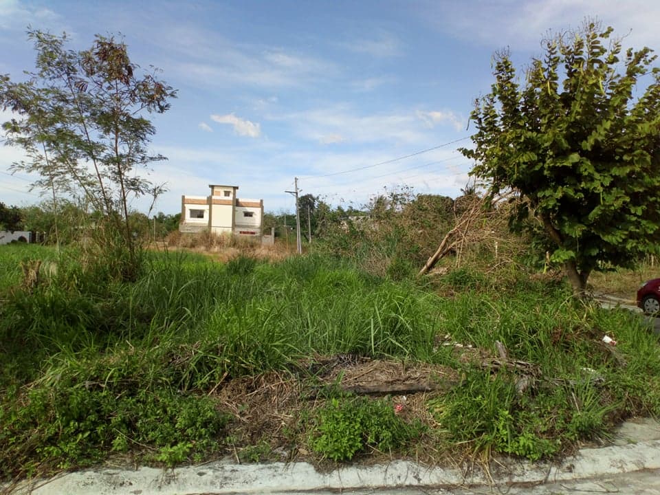 CARMELA DE BACOLOD SUBDIVISION - photo 3