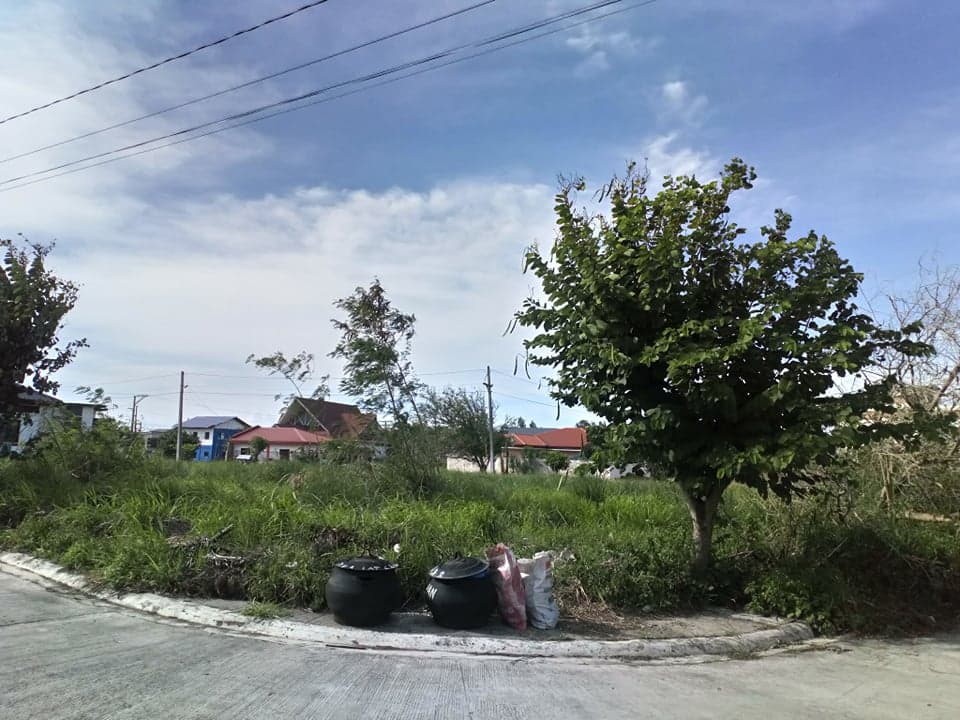 CARMELA DE BACOLOD SUBDIVISION - photo 5