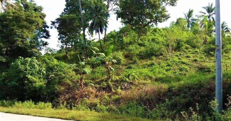 3,342 SQM LOT for SALE IN ILIGAN / ALONG BRGY. ROAD / BESIDE VILLA CASTENA SUBD - photo 4