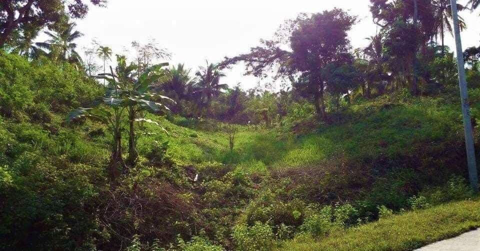 3,342 SQM LOT for SALE IN ILIGAN / ALONG BRGY. ROAD / BESIDE VILLA CASTENA SUBD - photo 5