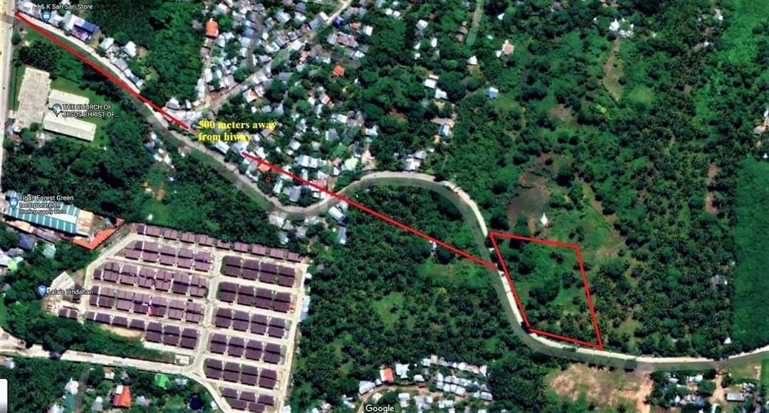 3,342 SQM LOT for SALE IN ILIGAN / ALONG BRGY. ROAD / BESIDE VILLA CASTENA SUBD - photo 3