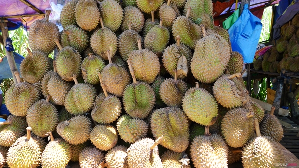 Davao Durian | traveljams